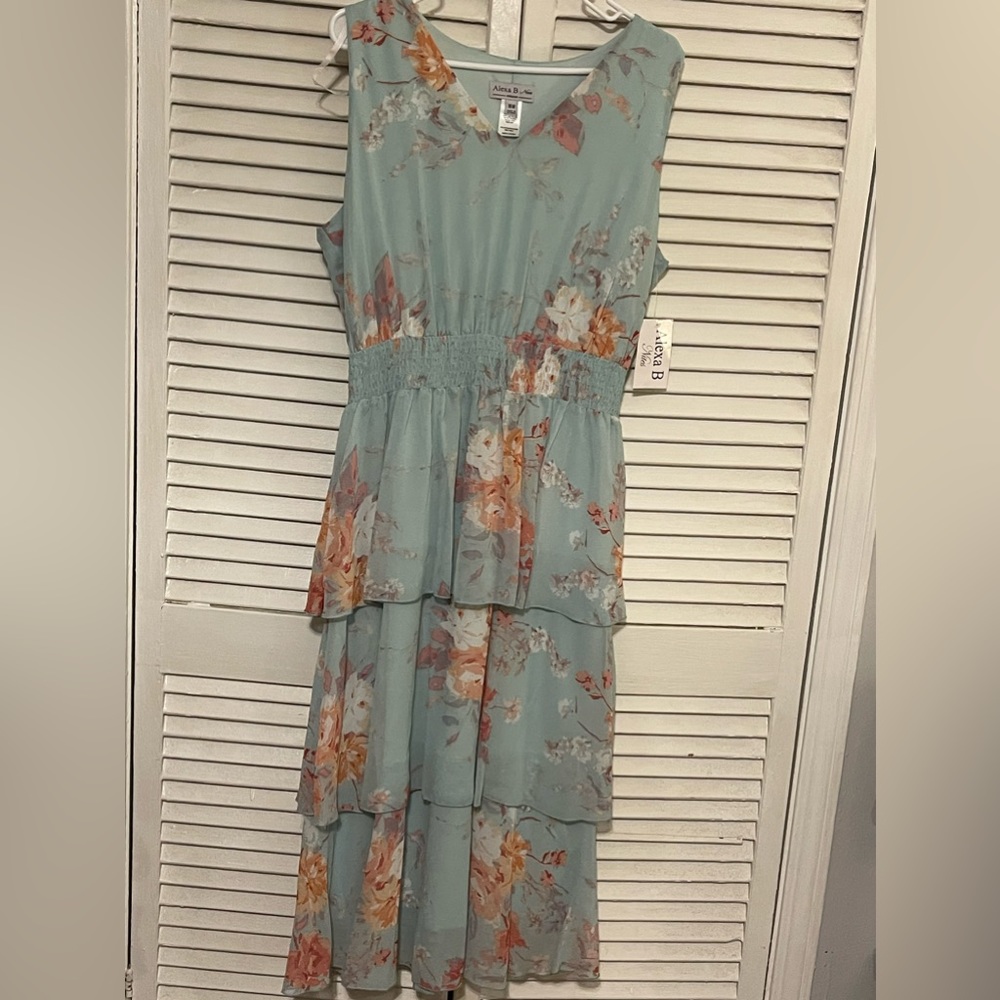 Alexa B Nites sleeveless light blue floral dress 16w NWT